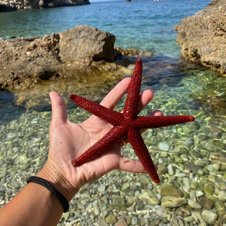 Appartamento Barone Castellammare del Golfo Εξωτερικό φωτογραφία